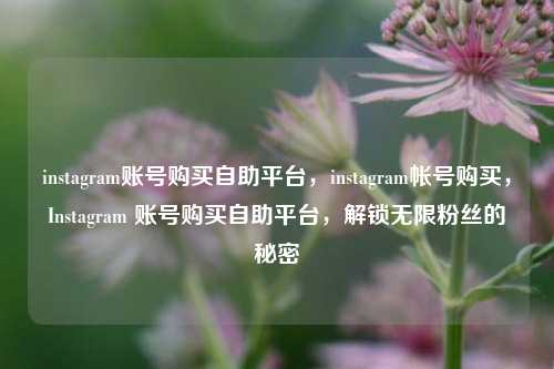 instagram账号购买自助平台，instagram帐号购买，Instagram 账号购买自助平台，解锁无限粉丝的秘密