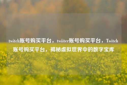twitch账号购买平台，twiiter账号购买平台，Twitch账号购买平台，揭秘虚拟世界中的数字宝库