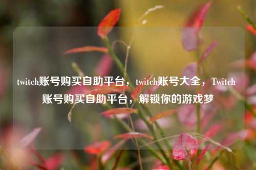 twitch账号购买自助平台，twitch账号大全，Twitch 账号购买自助平台，解锁你的游戏梦