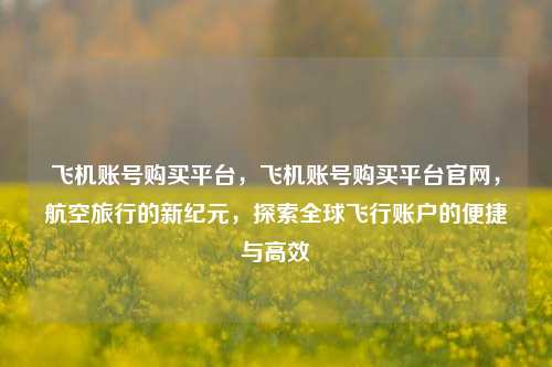 飞机账号购买平台，飞机账号购买平台官网，航空旅行的新纪元，探索全球飞行账户的便捷与高效