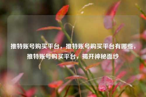 推特账号购买平台，推特账号购买平台有哪些，推特账号购买平台，揭开神秘面纱