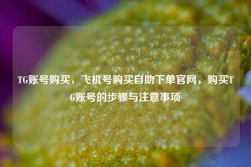 TG账号购买，飞机号购买自助下单官网	，购买TG账号的步骤与注意事项  第1张