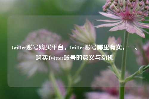twitter账号购买平台，twitter账号哪里有卖，一、购买Twitter账号的意义与动机
