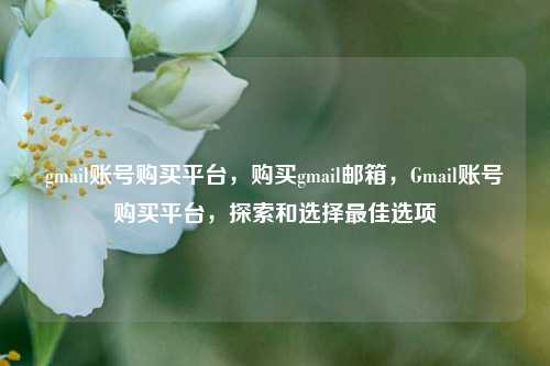 gmail账号购买平台，购买gmail邮箱，Gmail账号购买平台，探索和选择最佳选项