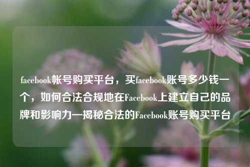 facebook帐号购买平台，买facebook账号多少钱一个，如何合法合规地在Facebook上建立自己的品牌和影响力—揭秘合法的Facebook账号购买平台