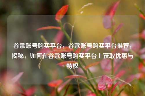 谷歌账号购买平台，谷歌账号购买平台推荐，揭秘，如何在谷歌账号购买平台上获取优惠与特权