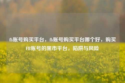 fb账号购买平台，fb账号购买平台哪个好，购买FB账号的黑市平台，陷阱与风险