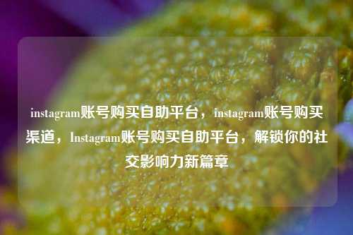 instagram账号购买自助平台，instagram账号购买渠道，Instagram账号购买自助平台，解锁你的社交影响力新篇章