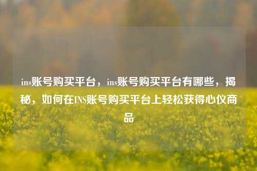 ins账号购买平台，ins账号购买平台有哪些，揭秘，如何在INS账号购买平台上轻松获得心仪商品