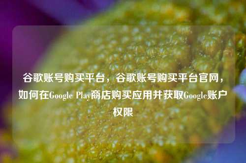 谷歌账号购买平台，谷歌账号购买平台官网，如何在Google Play商店购买应用并获取Google账户权限