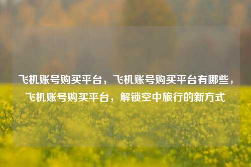 飞机账号购买平台，飞机账号购买平台有哪些，飞机账号购买平台，解锁空中旅行的新方式