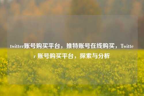 twitter账号购买平台，推特账号在线购买，Twitter 账号购买平台，探索与分析