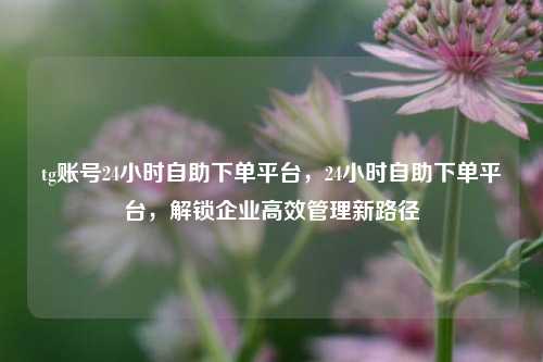tg账号24小时自助下单平台，24小时自助下单平台，解锁企业高效管理新路径