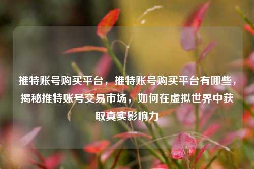 推特账号购买平台，推特账号购买平台有哪些，揭秘推特账号交易市场，如何在虚拟世界中获取真实影响力