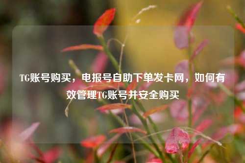 TG账号购买，电报号自助下单发卡网，如何有效管理TG账号并安全购买