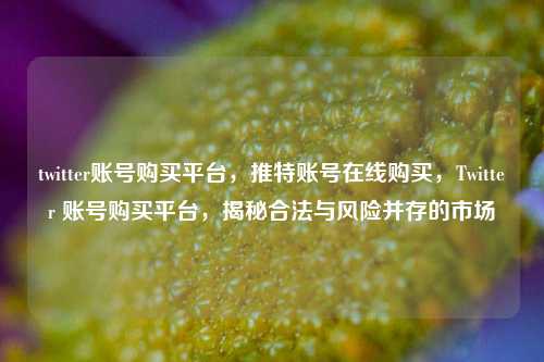 twitter账号购买平台，推特账号在线购买，Twitter 账号购买平台，揭秘合法与风险并存的市场