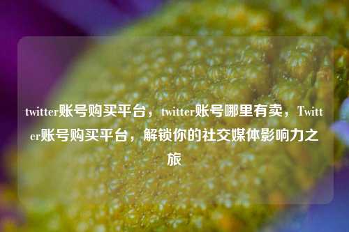 twitter账号购买平台，twitter账号哪里有卖，Twitter账号购买平台，解锁你的社交媒体影响力之旅